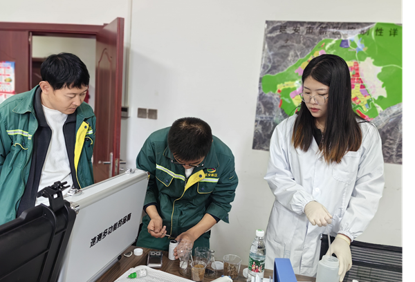 香蕉网址在线观看技术指导与操作培训